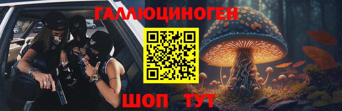 Галлюциногенные грибы Psilocybe Белебей